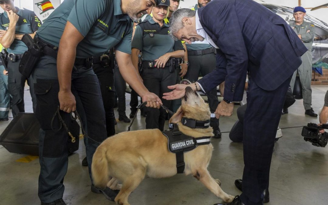 Los «agentes» caninos eligen su jubilación