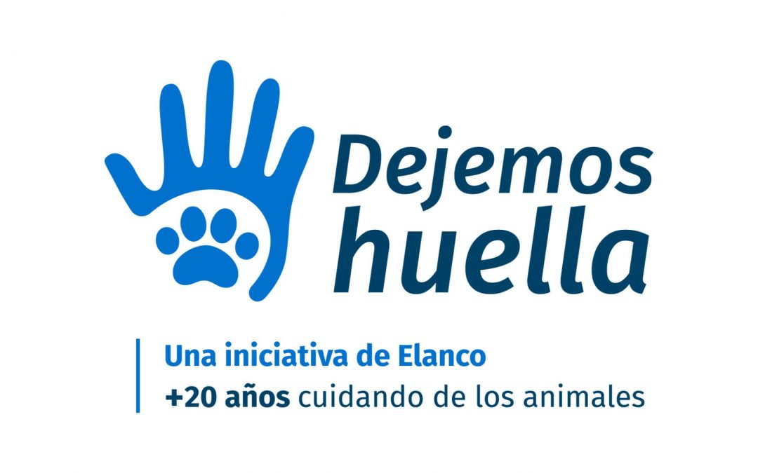 Participamos en «Dejamos huella» iniciativa que promueve aptitudes para evitar el abandono.
