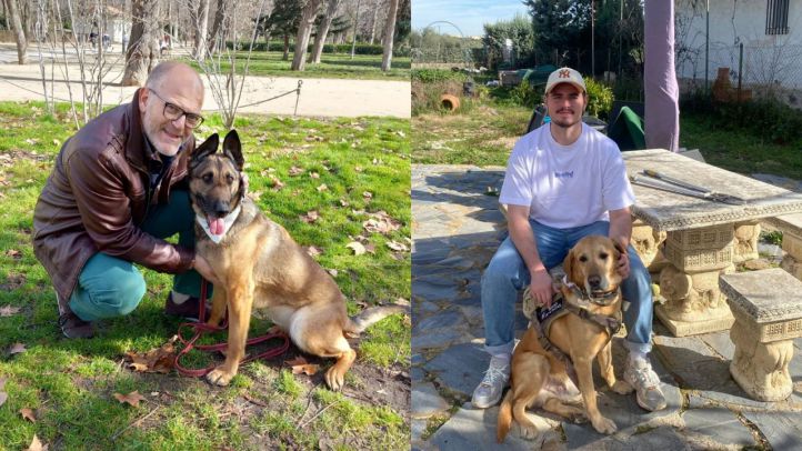 En 2015 un grupo de policías creó ‘Héroes de 4 patas’, una asociación dedicada a buscar un hogar para perros que trabajaron en la Policía Nacional, la Unidad Militar de Emergencias, Fuerzas Armadas, empresas de servicios caninos privadas