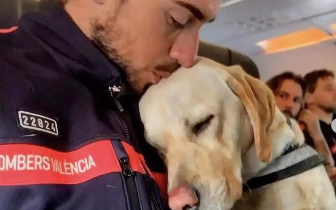 La unidad canina de rescate de Valencia regresa a casa después de trabajar tres días sin descanso