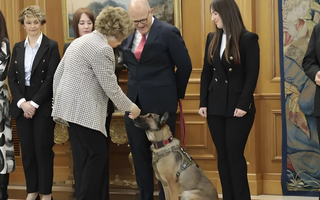 Camara Real. Minuto 27:20.