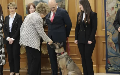 Camara Real. Minuto 27:20.