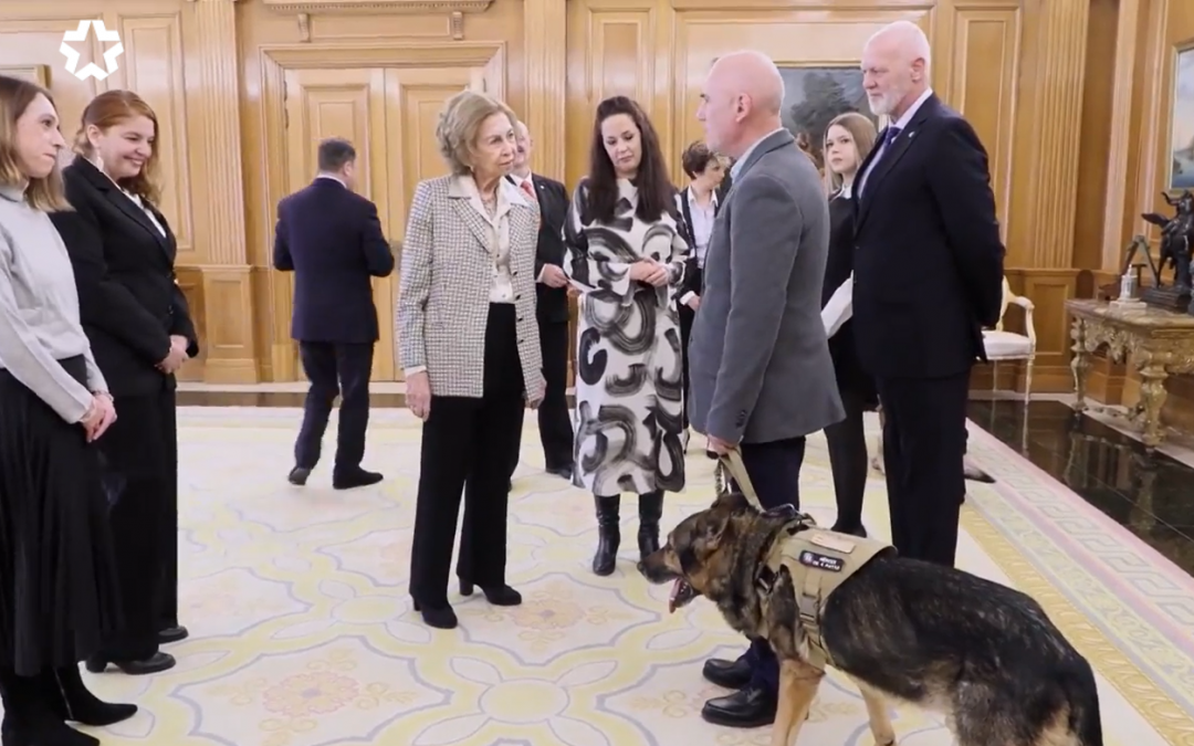 Así son Poppet y Zeus, los perros policía retirados que visitan a la reina Sofía en Zarzuela