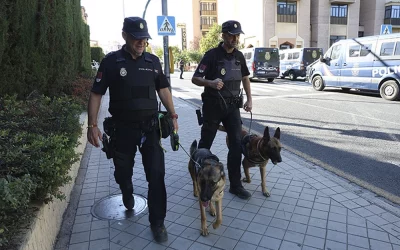 Día mundial del perro de trabajo