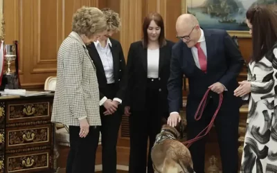 La Reina Sofía abre las puertas de Zarzuela a perros de trabajo jubilados: fotos entrañables.