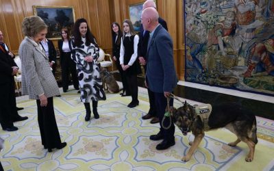 La Reina Sofía, todo cariño con dos perros adoptados: el paseo por palacio de Poppet y Zeus.