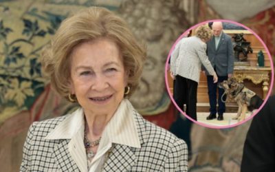 El gesto de cariño de Doña Sofía con un perro de la Asociación Héroes de 4 Patas.