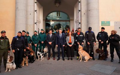 Homenaje a los héroes de cuatro patas que trabajaron en la DANA de Valencia