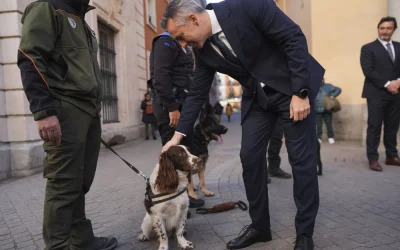 Día mundial Día mundial del perro de trabajo. Programa La Tarde Minuto 34:33.