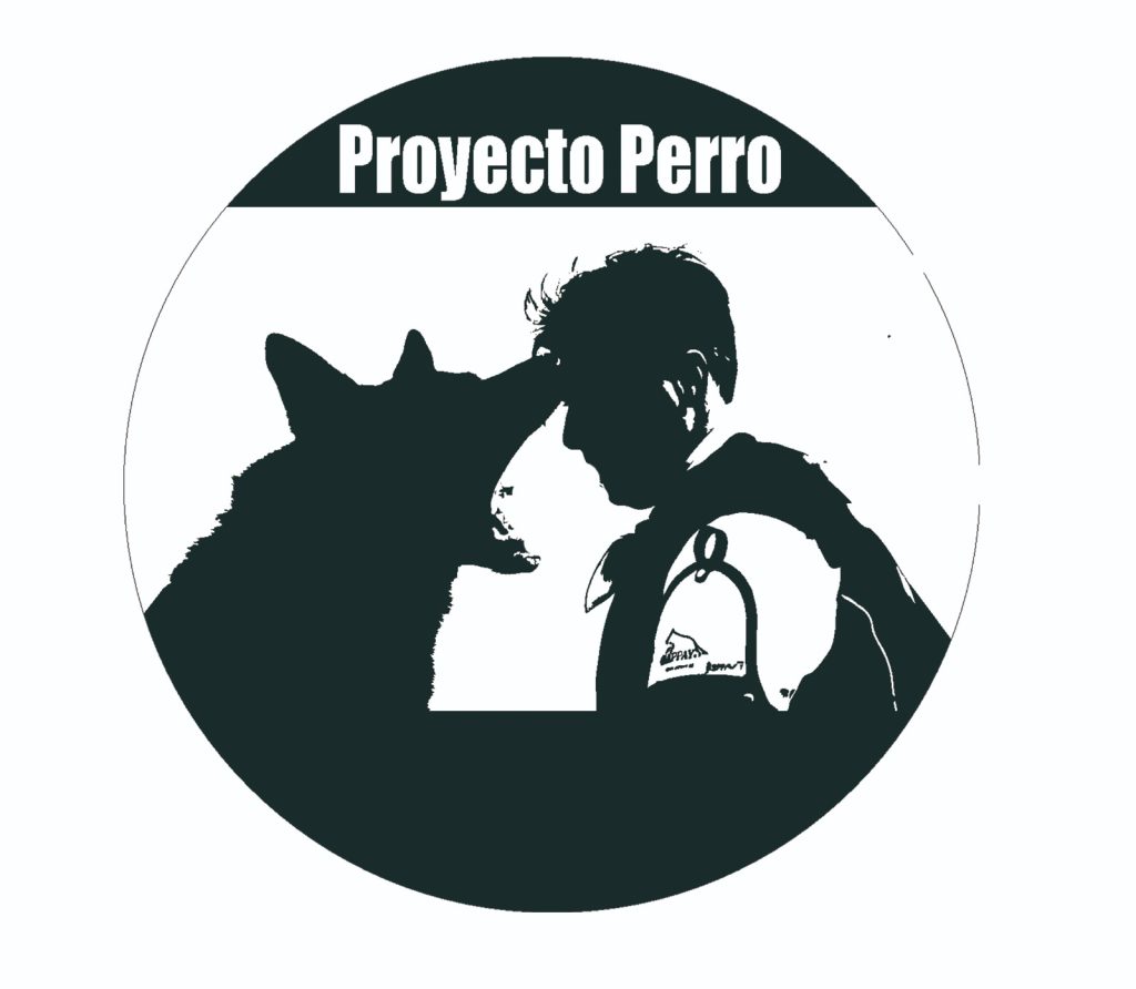 proyecto-perro-scaled